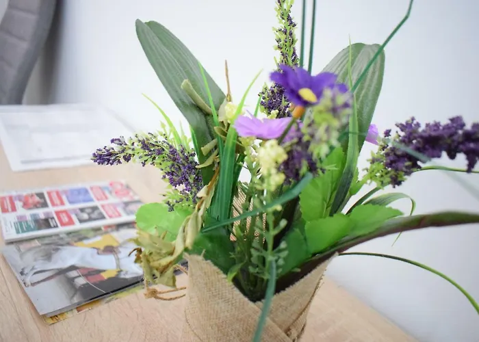 Wallada Damasco Córdoba